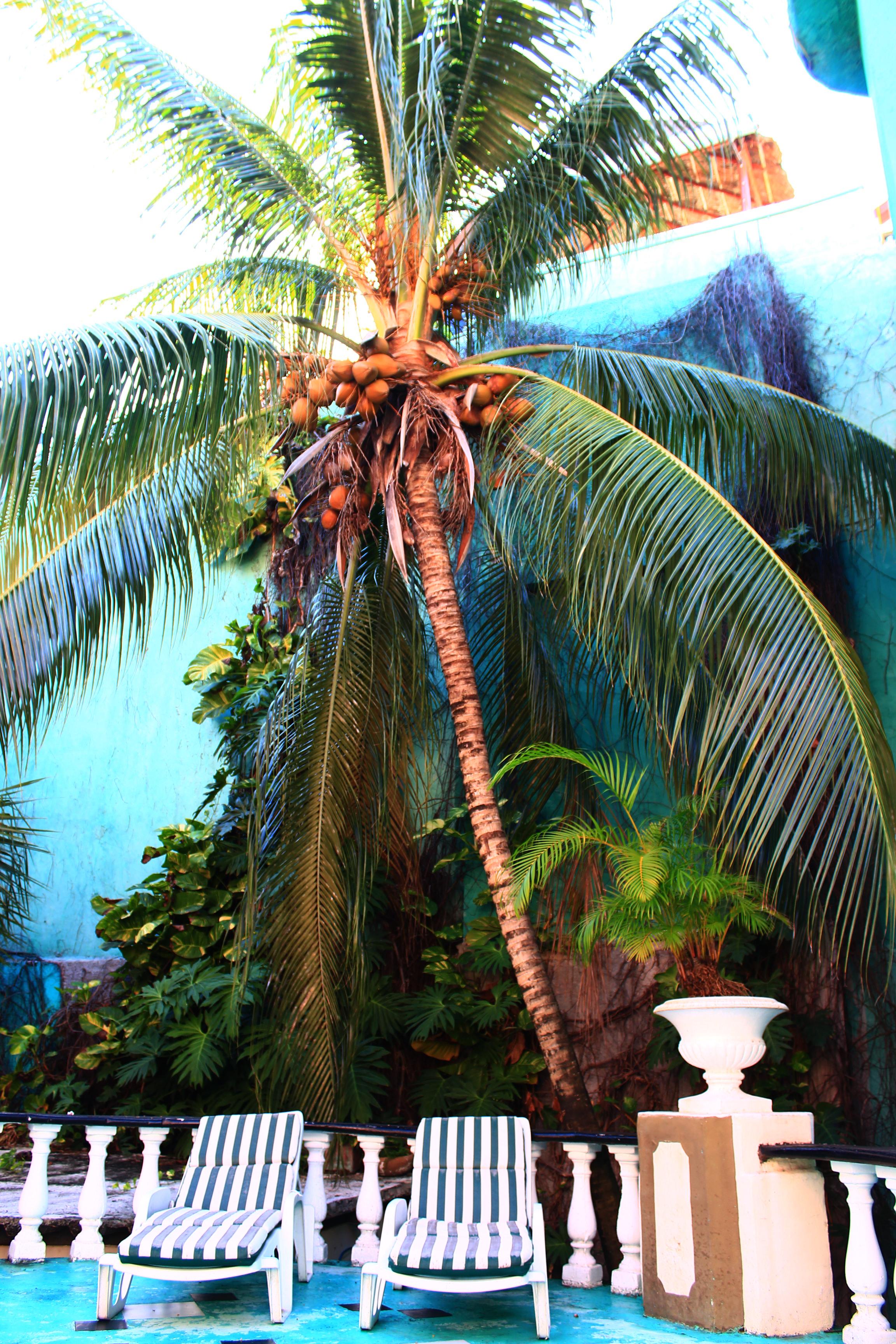 Maya Del Mar On Fifth Avenue Playa del Carmen Buitenkant foto